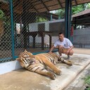   ,   , 31 ,   ,   , c 