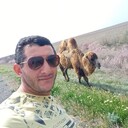 ���������� ������, ���� ������� �����, 43 ����, ������������ ��� ����� � ���������