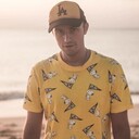 ���������� ������-��-����, ���� ������� ����, 33 ����, ������������ ��� ������, ����� � ���������