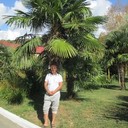  ,   , 46 ,   