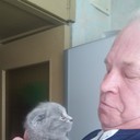 ���������� �����-���������, ���� ������� ������, 66 ���, ������������ ��� ������, ����� � ���������, c�������� ���������