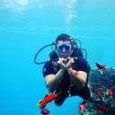 ���������� ���, ���� ������� ����, 29 ���, ������������ ��� ������, ����� � ���������