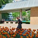  ,   , 38 ,     , c , 