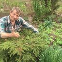 ���������� �����-���������, ���� ������� �������, 37 ���, ������������ ��� ������, ����� � ���������