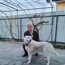 ���������� ����� �������, ���� ������� ���������, 66 ���, ������������ ��� ������, ����� � ���������