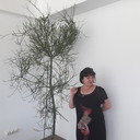 ���������� ��������������, ���� ������� ����, 50 ���, ������������ ��� ����� � ���������, c�������� ���������