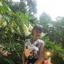 ���������� ���������, ���� ������� ��������, 49 ���, ������������ ��� ����� � ���������, c�������� ���������