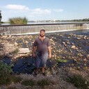 ���������� ������, ���� ������� �����, 44 ����, ������������ ��� ������, ����� � ���������