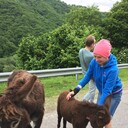 ���������� ������, ���� ������� ����, 48 ���, ������������ ��� ������, ����� � ���������, c�������� ���������