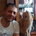   ,   , 43 ,   