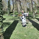 ���������� �������, ���� ������� �����, 66 ���, ������������ ��� c�������� ���������