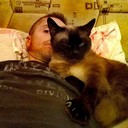 ���������� �����������, ���� ������� ������, 50 ���, ������������ ��� ����� � ���������, c�������� ���������