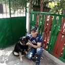  --,   , 98 ,   ,   