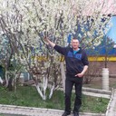 ���������� ���������, ���� ������� �����, 50 ���, ������������ ��� ����� � ���������, c�������� ���������