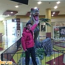 ���������� ������, ���� ������� ������, 50 ���, ������������ ��� ������, ����� � ���������, c�������� ���������