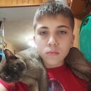 ���������� ������, ���� ����� ������, 21 ���, ������������ ��� ������, ����� � ���������