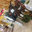 ���������� �����, ���� ������� �����, 30 ���, ������������ ��� ������, ����� � ���������