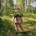 ���������� ������, ���� ������� �������, 37 ���, ������������ ��� ������, ����� � ���������