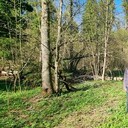 ���������� ������, ���� ������� ��������, 39 ���, ������������ ��� ������, ����� � ���������, c�������� ���������, ���������