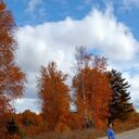 ���������� ������������, ���� ������� Alexandra, 21 ���, ������������ ��� ������, ����� � ���������, c�������� ���������, ���������