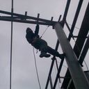 ���������� �����, ���� ������� �����, 38 ���, ������������ ��� ������, ���������