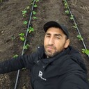 ���������� ������-��-����, ���� ������� �����, 35 ���, ������������ ��� ������, ����� � ���������