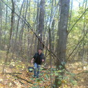 ���������� �������, ���� ������� �����, 38 ���, ������������ 