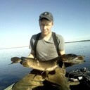 ���������� �����������, ���� ������� �������, 38 ���, ������������ ��� ������, ����� � ���������, c�������� ���������, ���������