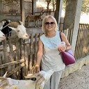 ���������� ����, ���� ������� ������, 60 ���, ������������ ��� c�������� ���������