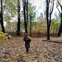 ���������� �����-���������, ���� ������� ��������, 60 ���, ������������ ��� c�������� ���������