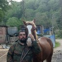 ���������� ����, ���� ������� ���������, 53 ����, ������������ ��� ������