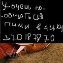 ���������� ��������, ���� ������� �������3500, 40 ���, ������������ ��� ������, ����� � ���������, c�������� ���������