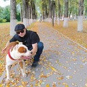 ���������� �������, ���� ������� ����, 33 ����, ������������ ��� ������, ����� � ���������, c�������� ���������