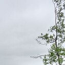  ,   , 42 ,   c 