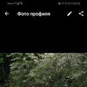 ���������� ������, ���� ������� Olga, 101 ���, ������������ ��� ������, ����� � ���������, c�������� ���������, ���������