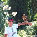 ���������� �����, ���� ������� �������, 38 ���, ������������ ��� ������, ����� � ���������, c�������� ���������