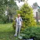  ,   Dzoni, 68 ,   