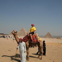 ���������� ������, ���� ������� And567, 50 ���, ������������ ��� ������, ����� � ���������, c�������� ���������