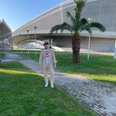 ���������� �����������, ���� ������� ����, 33 ����, ������������ ��� ������, ����� � ���������