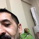  ,   , 45 ,   ,   