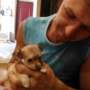 ���������� �����, ���� ������� �������, 46 ���, ������������ ��� ������, ����� � ���������, c�������� ���������