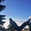 ���������� �����, ���� ������� ������, 42 ����, ������������ ��� ������, ����� � ���������, ���������