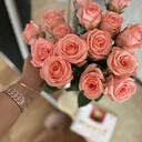   ,   , 29 ,   ,   , c , 