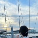 ���������� Harcourt, ���� ������� Castro, 25 ���, ������������ ��� ����� � ���������, c�������� ���������, ���������