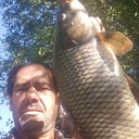  ,   , 51 ,   ,   , c 