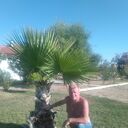  ,   Alexander, 61 ,   c 