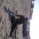  ,   SAMIR 50, 37 ,   