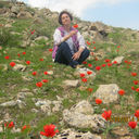 ���������� �����, ���� ������� ��������, 55 ���, ������������ ��� ������, ����� � ���������, c�������� ���������