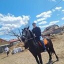  ,   , 37 ,     , c , 