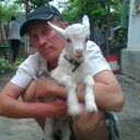 ���������� ����������, ���� ������� Anton, 50 ���, ������������ ��� ������, ����� � ���������, c�������� ���������, ���������